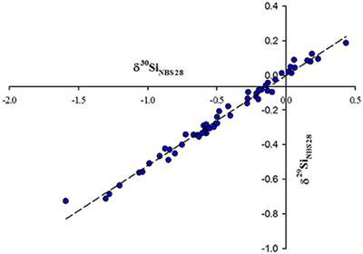 Iron Availability Influences Silicon Isotope Fractionation in Two Southern Ocean Diatoms (Proboscia inermis and Eucampia antarctica) and a Coastal Diatom (Thalassiosira pseudonana)